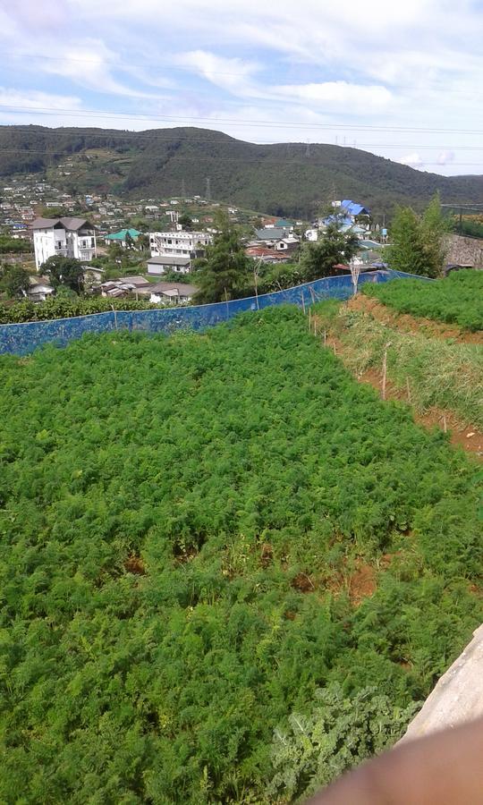 Rainyfreindz Hotel นูวาราเอลิยา ภายนอก รูปภาพ